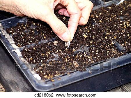 Close-up, contemporary, day, detail View Large Photo Image Stock Image - Close-up, contemporary, day, detail. Fotosearch