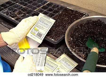 Close-up, contemporary, day, detail View Large Photo Image Stock Photo - Close-up, contemporary, day, detail. Fotosearch