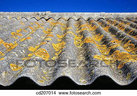 Close-up, day, construction, concept, aged View Large Photo Image Picture - Close-up, day, construction, concept, aged. Fotosearch