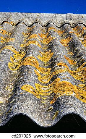 Close-up, day, construction, concept, aged View Large Photo Image Stock Photograph - Close-up, day, construction, concept, aged. Fotosearch