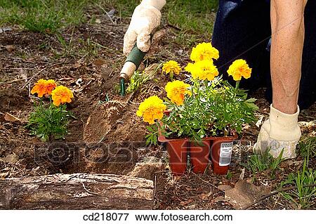 Close-up, day, contemporary, arm View Large Photo Image Stock Photo - Close-up, day, contemporary, arm. Fotosearch