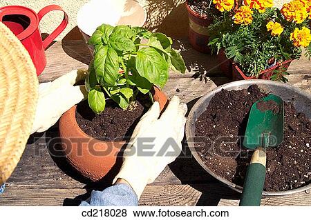 coloured, colourful, arm View Large Photo Image Stock Photo - coloured, colourful, arm. Fotosearch
