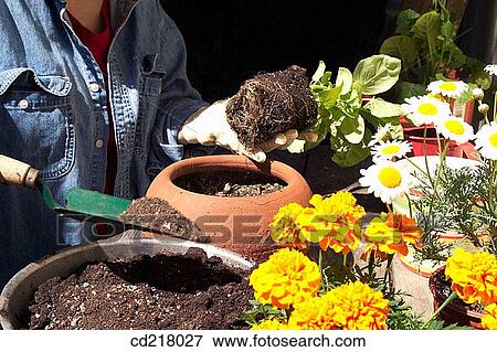 coloured, colourful, contemporary View Large Photo Image Stock Photo - coloured, colourful, contemporary. Fotosearch