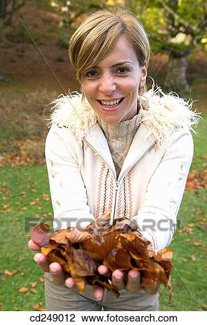 contemporary, country, autumn View Large Photo Image Stock Image - contemporary, country, autumn. Fotosearch