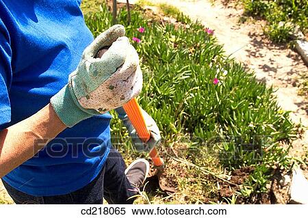 contemporary, cover, covering, day, detail View Large Photo Image Stock Photography - contemporary, cover, covering, day, detail. Fotosearch