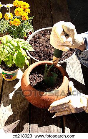 contemporary, day, detail, earth View Large Photo Image Stock Image - contemporary, day, detail, earth. Fotosearch