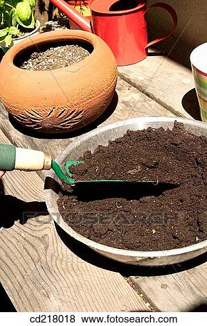 contemporary, day, detail, earth, flower pot View Large Photo Image Stock Photo - contemporary, day, detail, earth, flower pot. Fotosearch