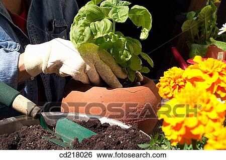 contemporary, day, detail, earth View Large Photo Image Stock Photograph - contemporary, day, detail, earth. Fotosearch