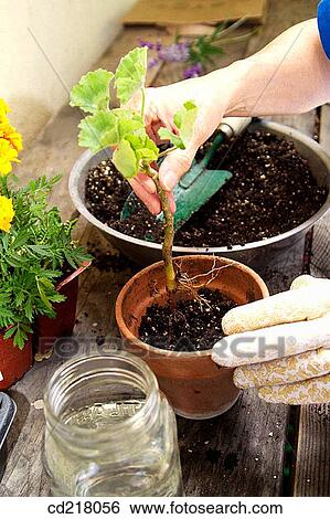 contemporary, day, detail, earth View Large Photo Image Stock Photograph - contemporary, day, detail, earth. Fotosearch