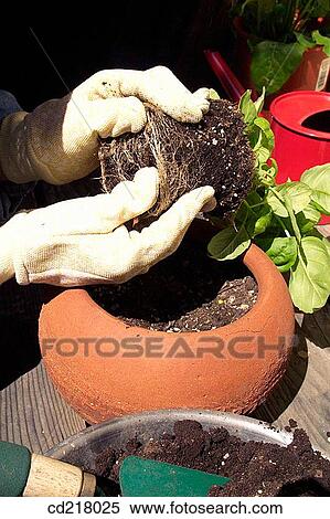 contemporary, day, detail, earth View Large Photo Image Stock Photography - contemporary, day, detail, earth. Fotosearch
