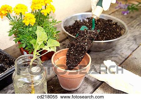 contemporary, day, detail, earth View Large Photo Image Stock Photography - contemporary, day, detail, earth. Fotosearch