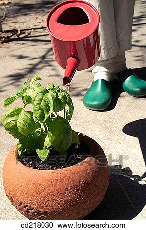 contemporary, day, detail, flower pot View Large Photo Image Stock Image - contemporary, day, detail, flower pot. Fotosearch