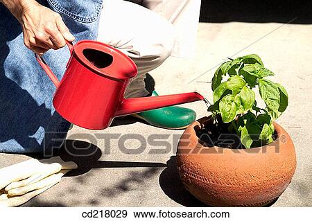 contemporary, day, detail, flower pot View Large Photo Image Stock Photo - contemporary, day, detail, flower pot. Fotosearch