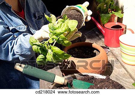 contemporary, detail, day, arm View Large Photo Image Picture - contemporary, detail, day, arm. Fotosearch