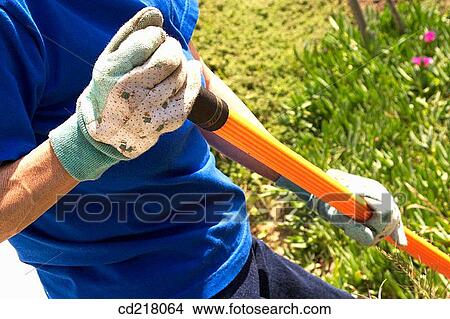 contemporary, garden, detail, day, arm View Large Photo Image Picture - contemporary, garden, detail, day, arm. Fotosearch