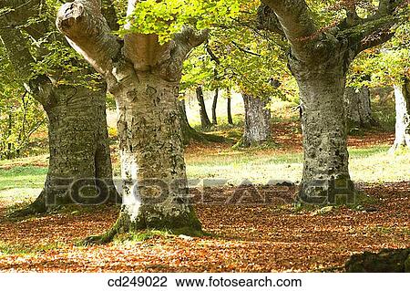country, day, nature, no people, outdoor View Large Photo Image Stock Image - country, day, nature, no people, outdoor. Fotosearch