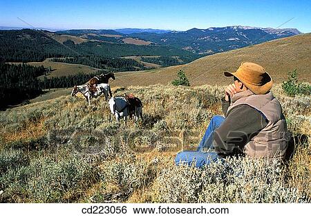 Cowboy with horses overlooking a valley, Centennial Range, Beaverhead County, Southern Montana, USA View Large Photo Image Stock Photograph - Cowboy with horses overlooking a valley, Centennial Range, Beaverhead County, Southern Montana, USA. Fotosearch
