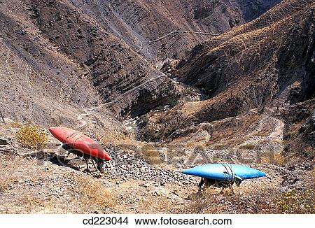 Donkeys carry kayaks, Colca Canyon, north of Arequipa, Peru View Large Photo Image Picture - Donkeys carry kayaks, Colca Canyon, north of Arequipa, Peru. Fotosearch
