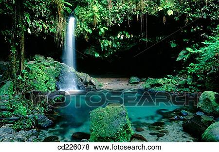 Emerald Lagoon. Morne Trois Pitons National Park. Commonwealth of Dominica. West Indies. Caribbean View Large Photo Image Stock Photo - Emerald Lagoon. Morne Trois Pitons National Park. Commonwealth of Dominica. West Indies. Caribbean. Fotosearch