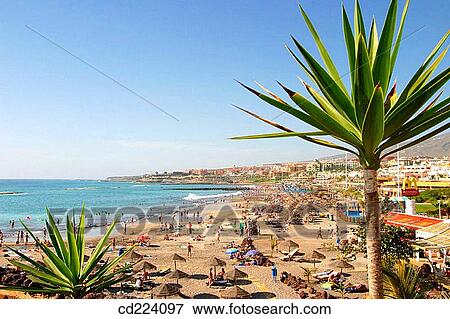 Fa±abe beach. Adeje. Tenerife. Canary Islands. Spain View Large Photo Image Stock Photo - Fa±abe beach. Adeje. Tenerife. Canary Islands. Spain. Fotosearch