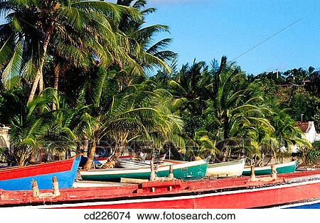 Picture - Fishing boats. Schoelcher. Martinique. West Indies. Caribbean. Fotosearch