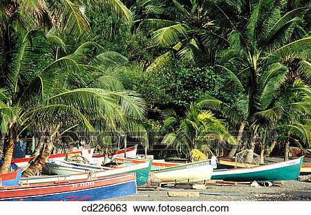 Fishing boats. Schoelcher. Martinique. West Indies. Caribbean View Large Photo Image Stock Image - Fishing boats. Schoelcher. Martinique. West Indies. Caribbean. Fotosearch