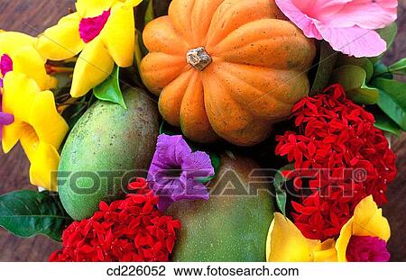 Fruits and flowers. St. Croix. US Virgin Islands. West Indies. Caribbean View Large Photo Image Stock Image - Fruits and flowers. St. Croix. US Virgin Islands. West Indies. Caribbean. Fotosearch