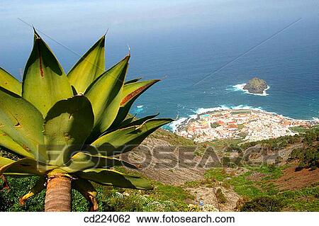 Stock Image - Garachico. Tenerife. Canary Islands. Spain. Fotosearch