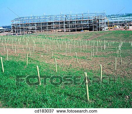 Hospital under construction with new landscaped area in foreground View Large Photo Image Stock Photo - Hospital under construction with new landscaped area in foreground. Fotosearch