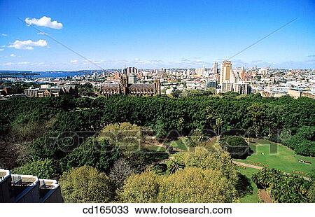 Hyde Park. Sydney. Australia View Large Photo Image Stock Image - Hyde Park. Sydney. Australia. Fotosearch