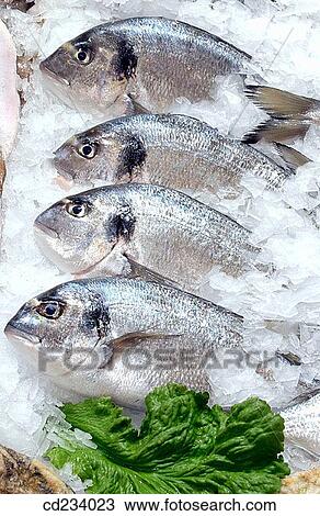 Hypermarket, fish shop View Large Photo Image Stock Image - Hypermarket, fish shop. Fotosearch