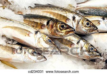 Hypermarket, fish shop View Large Photo Image Stock Image - Hypermarket, fish shop. Fotosearch