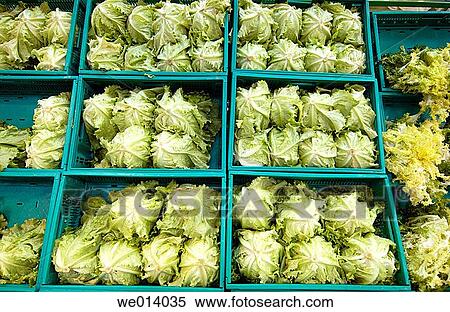Hypermarket, vegetables View Large Photo Image Stock Photography - Hypermarket, vegetables. Fotosearch