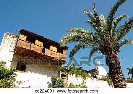 Icod de los Vinos. Tenerife. Canary Islands. Spain View Large Photo Image Stock Image - Icod de los Vinos. Tenerife. Canary Islands. Spain. Fotosearch