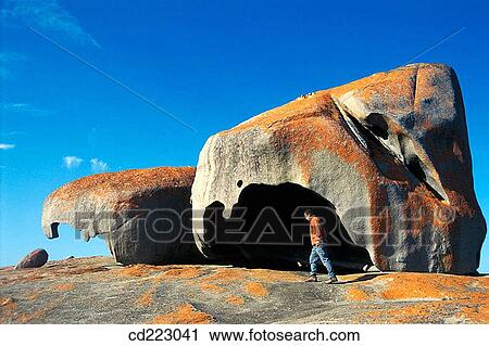 Kanguruh Island. Australia View Large Photo Image Stock Image - Kanguruh Island. Australia. Fotosearch