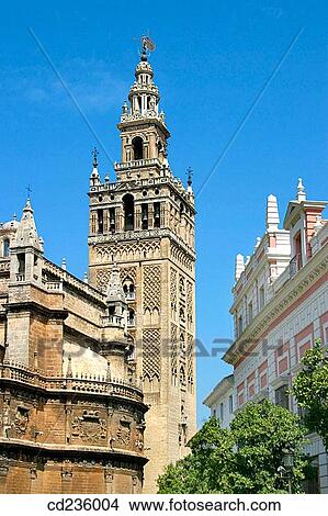 La Giralda. Seville. Andalusia, Spain View Large Photo Image Picture - La Giralda. Seville. Andalusia, Spain. Fotosearch