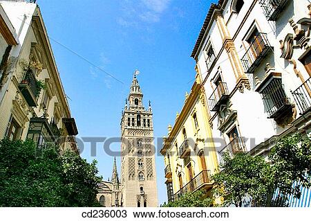 La Giralda. Seville. Andalusia, Spain View Large Photo Image Stock Image - La Giralda. Seville. Andalusia, Spain. Fotosearch