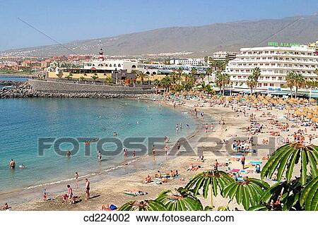 La Pinta beach. Adeje. Tenerife. Canary Islands. Spain View Large Photo Image Stock Image - La Pinta beach. Adeje. Tenerife. Canary Islands. Spain. Fotosearch