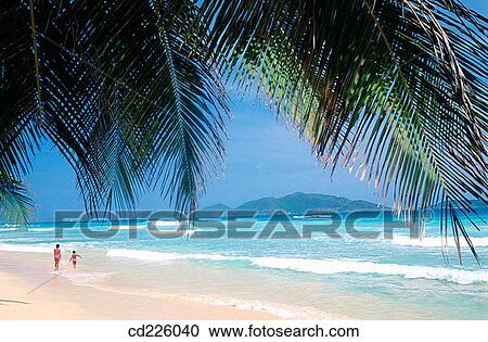 Long Bay beach. Tortola Island. British Virgin Islands. West Indies. Caribbean View Large Photo Image Stock Image - Long Bay beach. Tortola Island. British Virgin Islands. West Indies. Caribbean. Fotosearch