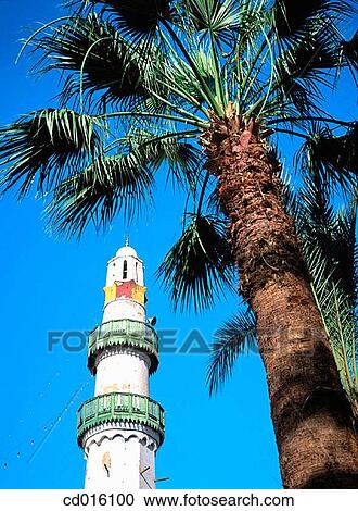 Luxor. Egypt View Large Photo Image Stock Image - Luxor. Egypt. Fotosearch