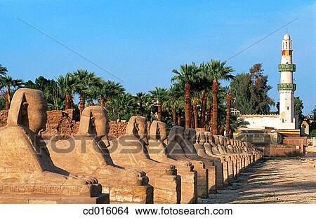 Luxor temple. Egypt View Large Photo Image Picture - Luxor temple. Egypt. Fotosearch