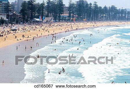 Manly Beach. Sydney. Australia View Large Photo Image Stock Photo - Manly Beach. Sydney. Australia. Fotosearch