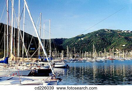 Marina. Wickhams Cay. Road Town. Tortola Island. British Virgin Islands. West Indies. Caribbean View Large Photo Image Stock Photo - Marina. Wickhams Cay. Road Town. Tortola Island. British Virgin Islands. West Indies. Caribbean. Fotosearch