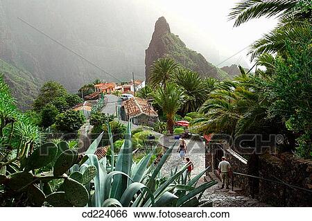 Masca. Tenerife. Canary Islands. Spain View Large Photo Image Stock Photograph - Masca. Tenerife. Canary Islands. Spain. Fotosearch