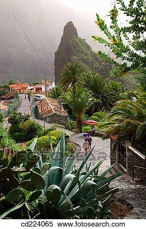 Masca. Tenerife. Canary Islands. Spain View Large Photo Image Stock Photography - Masca. Tenerife. Canary Islands. Spain. Fotosearch