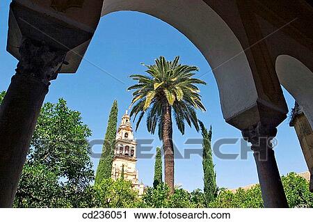 Minaret tower of the Great Mosque from Patio de los Naranjos. Cordoba. Andalusia, Spain View Large Photo Image Stock Image - Minaret tower of the Great Mosque from Patio de los Naranjos. Cordoba. Andalusia, Spain. Fotosearch