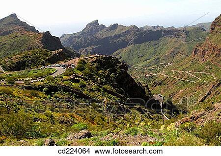 Near Masca. Tenerife. Canary Islands. Spain View Large Photo Image Picture - Near Masca. Tenerife. Canary Islands. Spain. Fotosearch