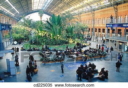 Palm garden in Atocha station. Madrid. Spain View Large Photo Image Stock Photography - Palm garden in Atocha station. Madrid. Spain. Fotosearch