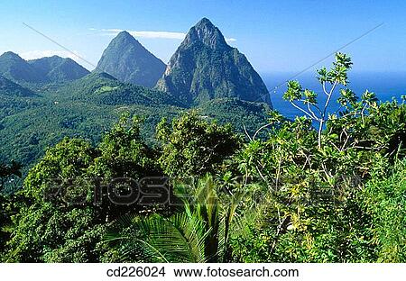 Petit Piton and Grand Piton. St. Lucia. West Indies. Caribbean View Large Photo Image Picture - Petit Piton and Grand Piton. St. Lucia. West Indies. Caribbean. Fotosearch