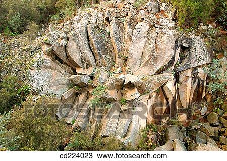 Stock Image - Rose petal. Rock formation. Tenerife. Canary Islands. Spain. Fotosearch